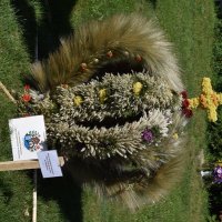 Zobacz w powiększeniu: Dożynki Gminne Baranów 2025 (14)